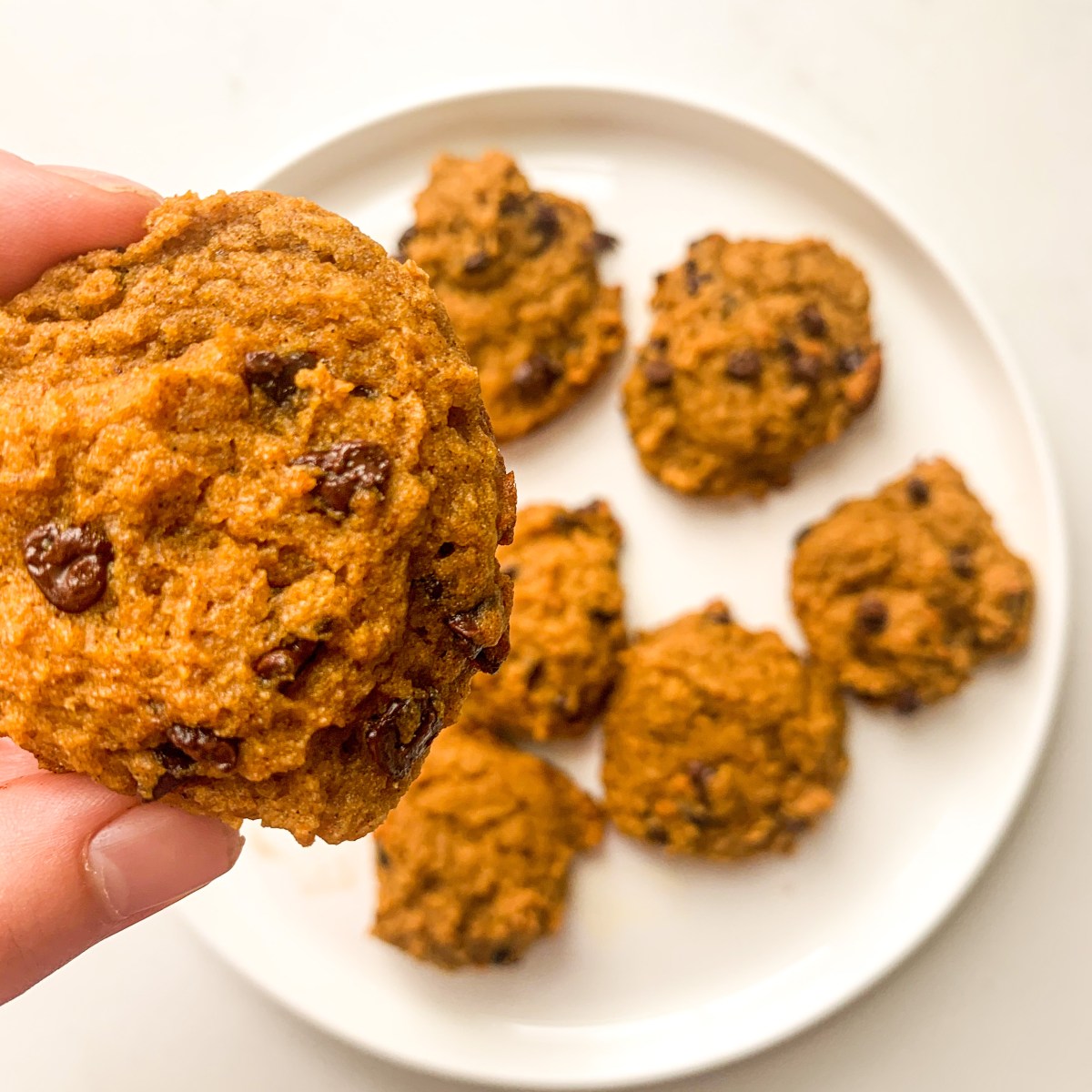 Mini Pumpkin Chocolate Chip Cookies