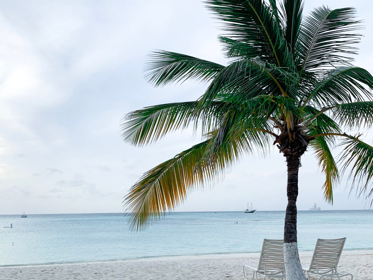 Gluten Free Food in Aruba
